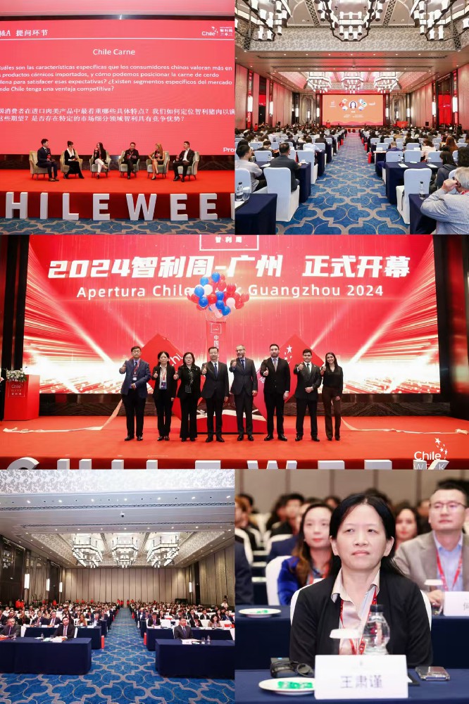 微信图片_20241222141510.jpg
